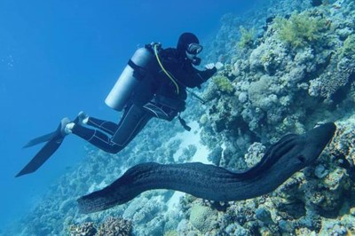 7 Tage Tauchen in Hurghada (14 Tauchgänge)